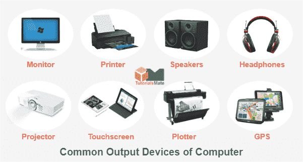 Input And Output Devices of Computer: Essential Hardware Explained